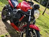 YAMAHA FZ6 98 Beygir