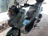 Arora beatrix 150
