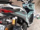Arora beatrix 150
