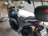 Arora beatrix 150