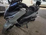 Forza 2024 1294 km de