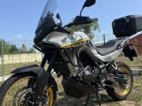 2025 TRANSALP - Taze