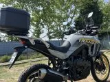2025 TRANSALP - Taze