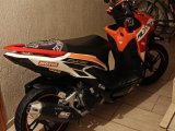 RKS WILDCAT 125 2023