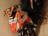 RKS WILDCAT 125 2023