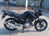 12500 km de Tertemiz YBR125 ESD