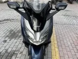 Sorunsuz Forza