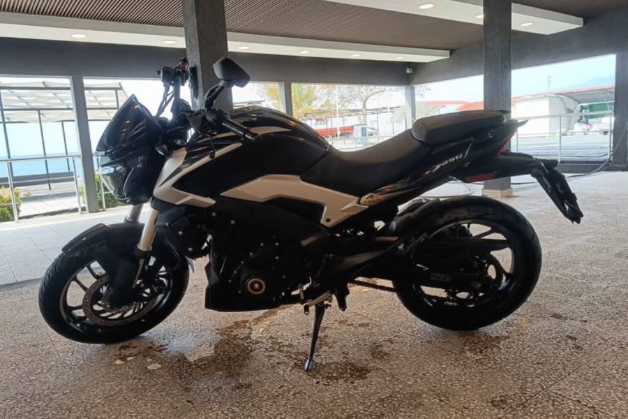Dominar 250 D