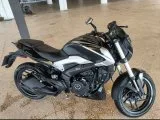 Dominar 250 D
