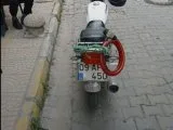 Kuba çita