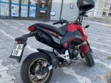 Temiz japon
