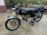 KUBA ÇİTA 50R GOLD