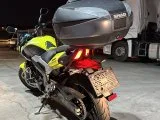 Shad 48 lt dominar canta demiri