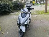 FALCON MOCCO 125 BOL EKSTRA