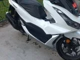 Temiz Honda pcx