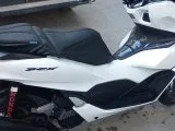 Temiz Honda pcx