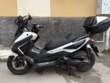 Forza 250