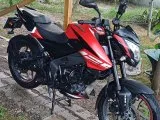 Temiz 2024 model ns 125 pulsar
