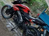 Temiz 2024 model ns 125 pulsar
