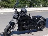 Regal Raptor Pilde 250