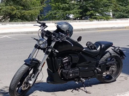Regal Raptor Pilde 250