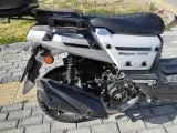 Musatti Rajon 50X