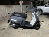 Dazzle pro 50