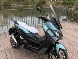 RKS GRACE 202 2024 PRO